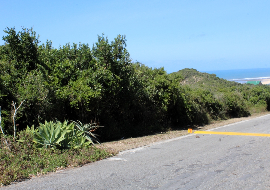 0 Bedroom Property for Sale in Begha Eastern Cape